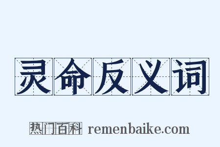 灵命反义词是什么意思的图片